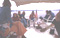 Jo Jo Gunne Gallery